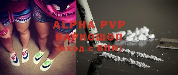 стафф Новозыбков