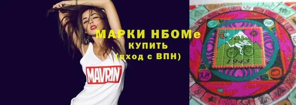 стафф Новозыбков