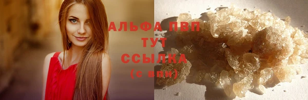 твердый Заречный