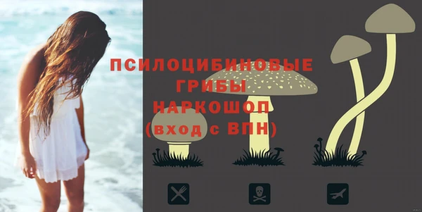 индика Нефтекумск