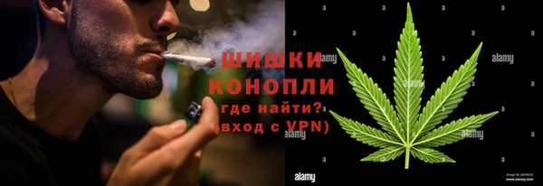 прущие грибы Нязепетровск