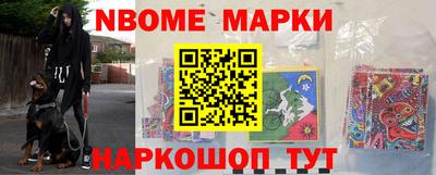 стафф Гай