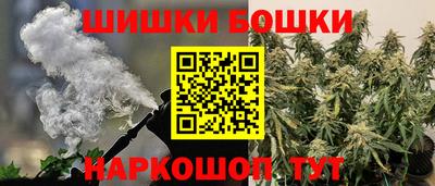 стафф Гай