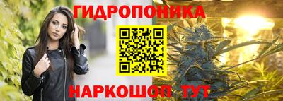 стафф Гай
