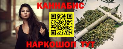 стафф Гай