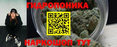 стафф Гай