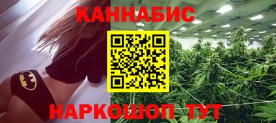 стафф Гай