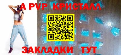 стафф Гай