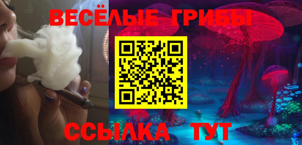 Псилоцибиновые грибы MAGIC MUSHROOMS Кизилюрт
