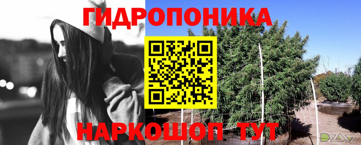 Шишки марихуана планчик  Шишки марихуана ГИДРОПОН  Кизилюрт  Вход с VPN  Канабис марихуана 